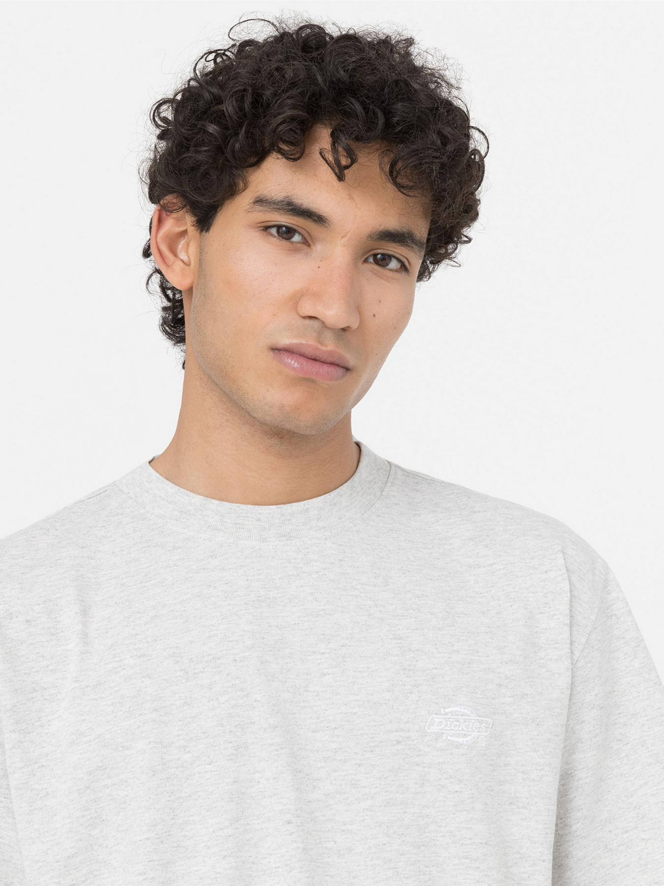 Футболка Dickies Summerdale Ss модель DK0A4YAIA281 Фото