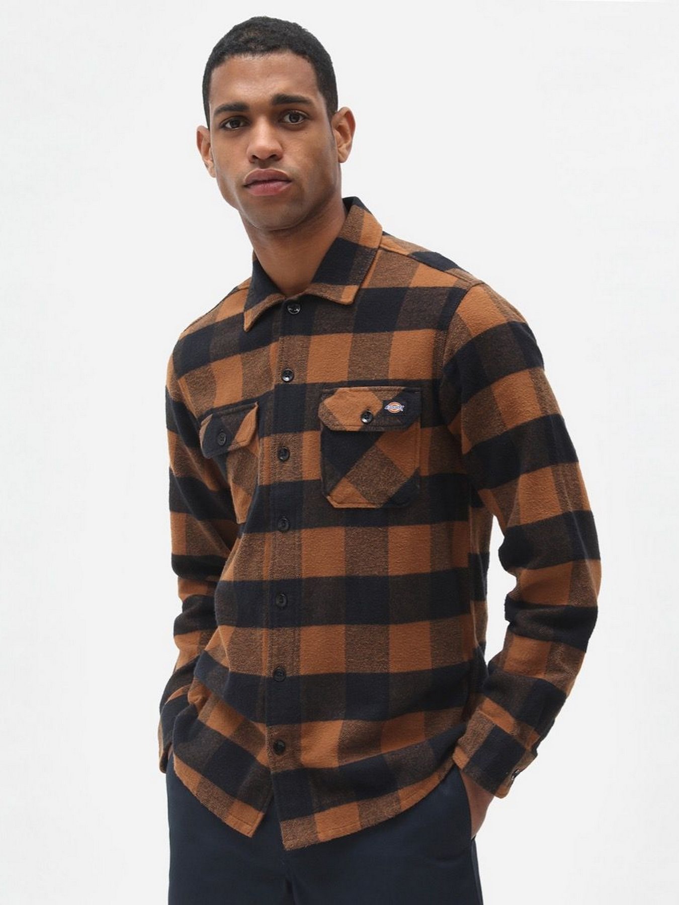 Рубашка повседневная Dickies New Sacramento модель DK0A4XDZBD01 Фото