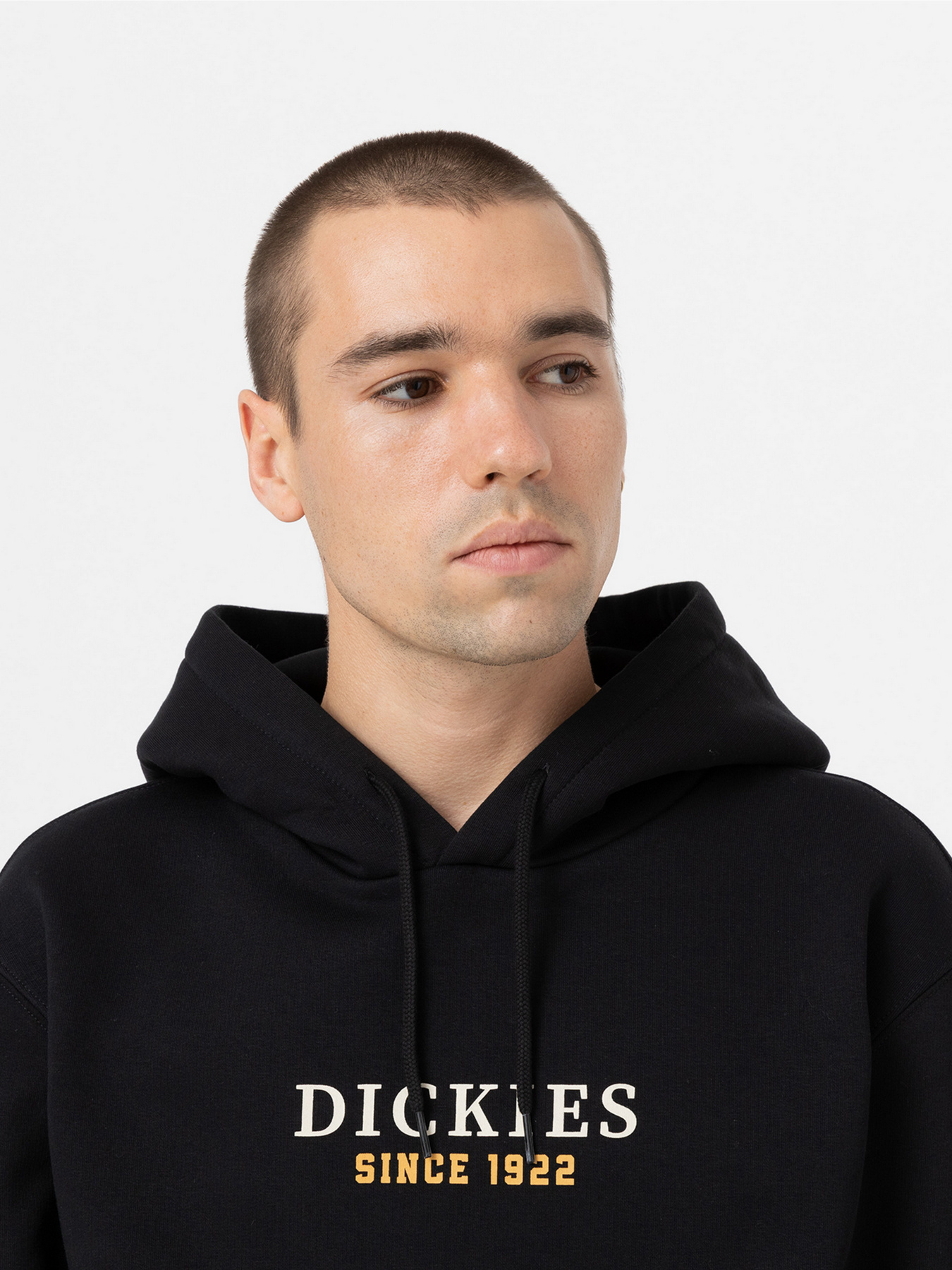 Худи Dickies Park модель DK0A4YEHBLK1 Худи Dickies Park модель DK0A4YEHBLK1 Фото