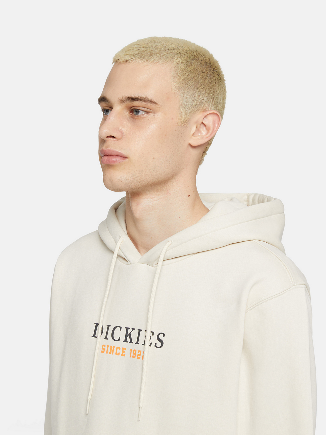 Худи Dickies Park модель DK0A4YEHF901 Фото