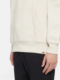 Худи Dickies Park модель DK0A4YEHF901 Фото