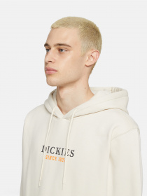 Худі Dickies Park модель DK0A4YEHF901 Фото