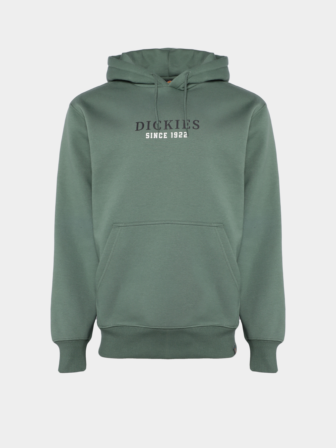 Худи Dickies Park модель DK0A4YEHH151 Фото