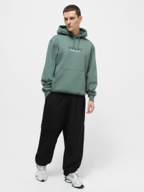 Худи Dickies Park модель DK0A4YEHH151 Фото