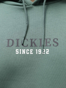 Худи Dickies Park модель DK0A4YEHH151 Фото