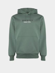 Худи Dickies Park модель DK0A4YEHH151 Фото