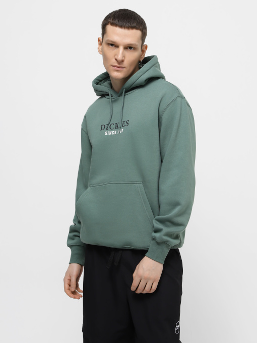 Худи Dickies Park модель DK0A4YEHH151 Фото