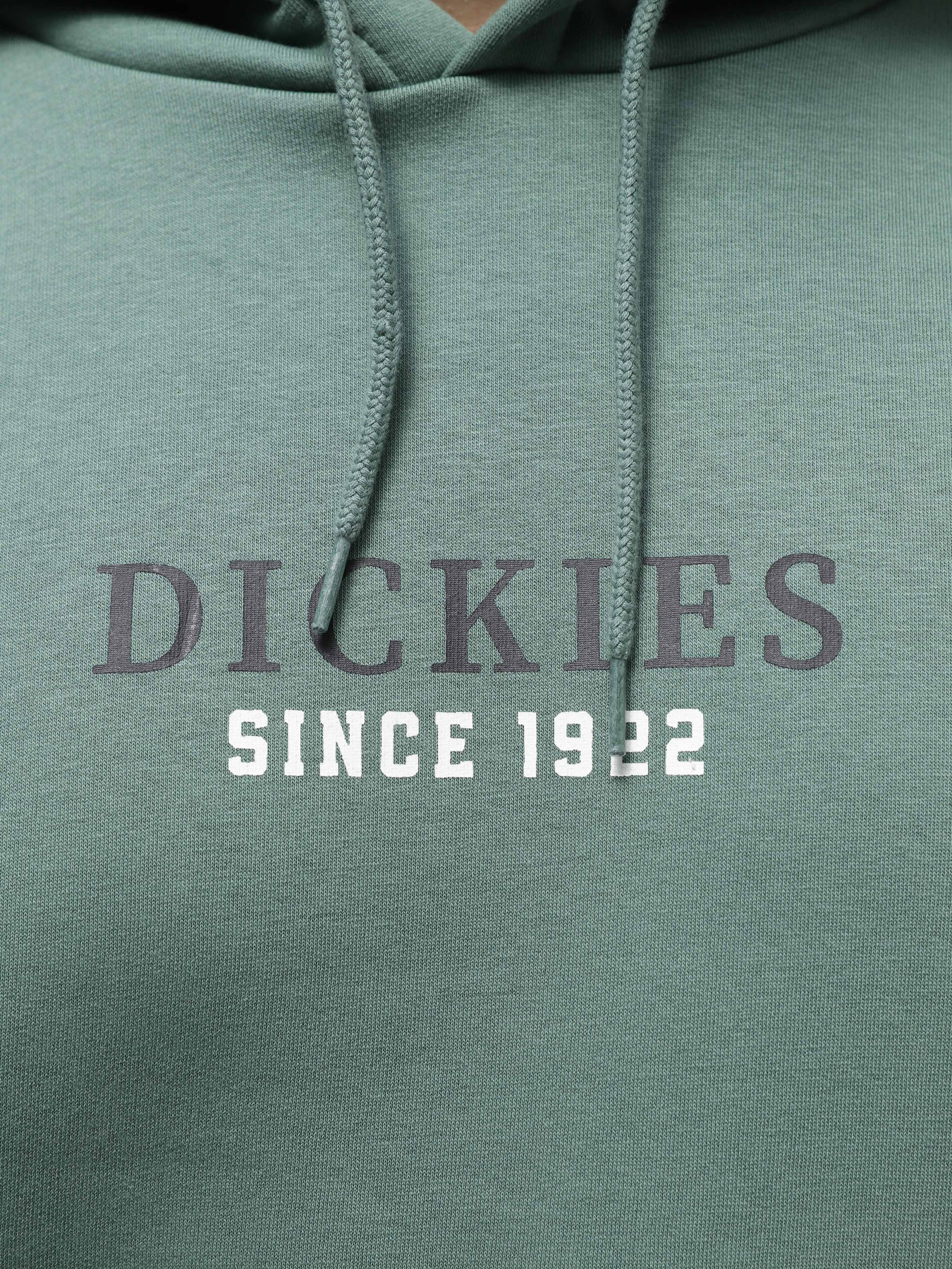 Худи Dickies Park модель DK0A4YEHH151 Худи Dickies Park модель DK0A4YEHH151 Фото