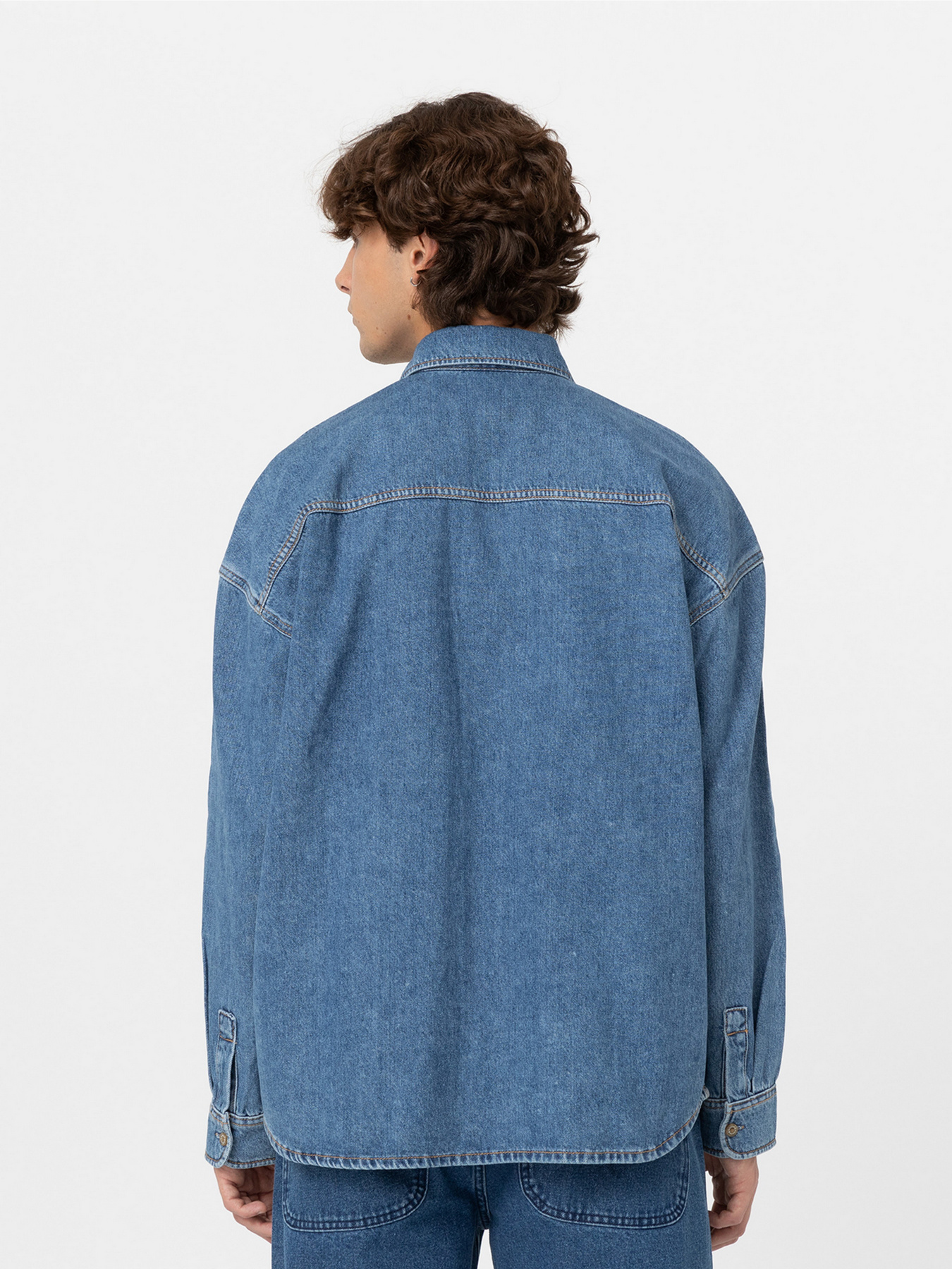 Сорочка повсякденна Dickies Houston модель DK0A4YF5CLB1 Фото