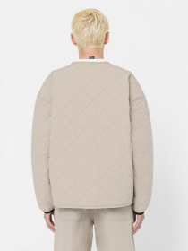 Демисезонная куртка Dickies Thorsby Liner модель DK0A4YG6SS01 Фото