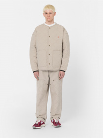 Демисезонная куртка Dickies Thorsby Liner модель DK0A4YG6SS01 Фото