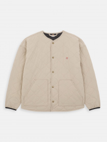 Демисезонная куртка Dickies Thorsby Liner модель DK0A4YG6SS01 Фото