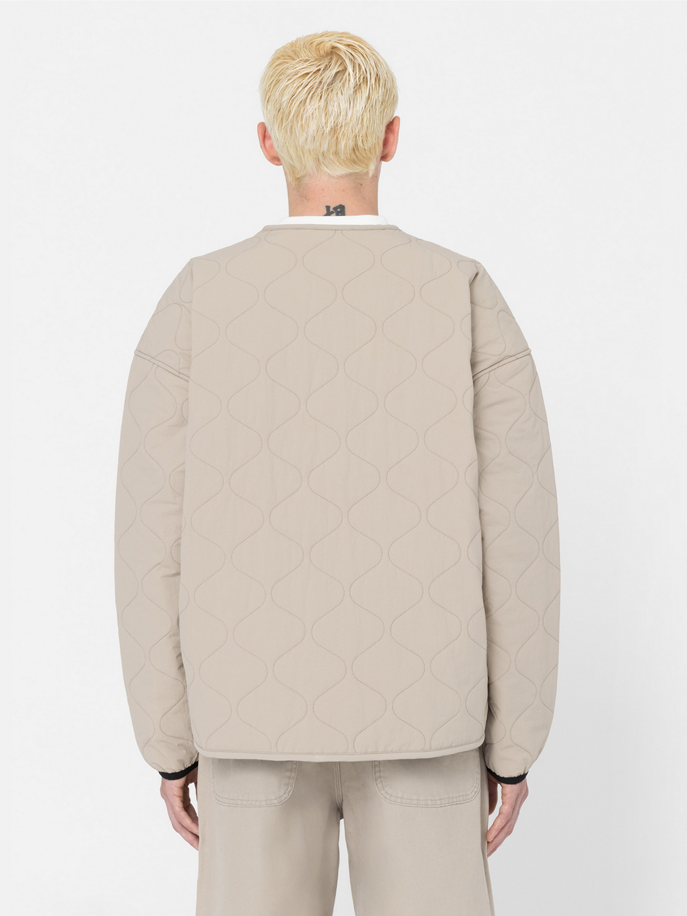 Демісезонна куртка Dickies Thorsby Liner модель DK0A4YG6SS01 Фото