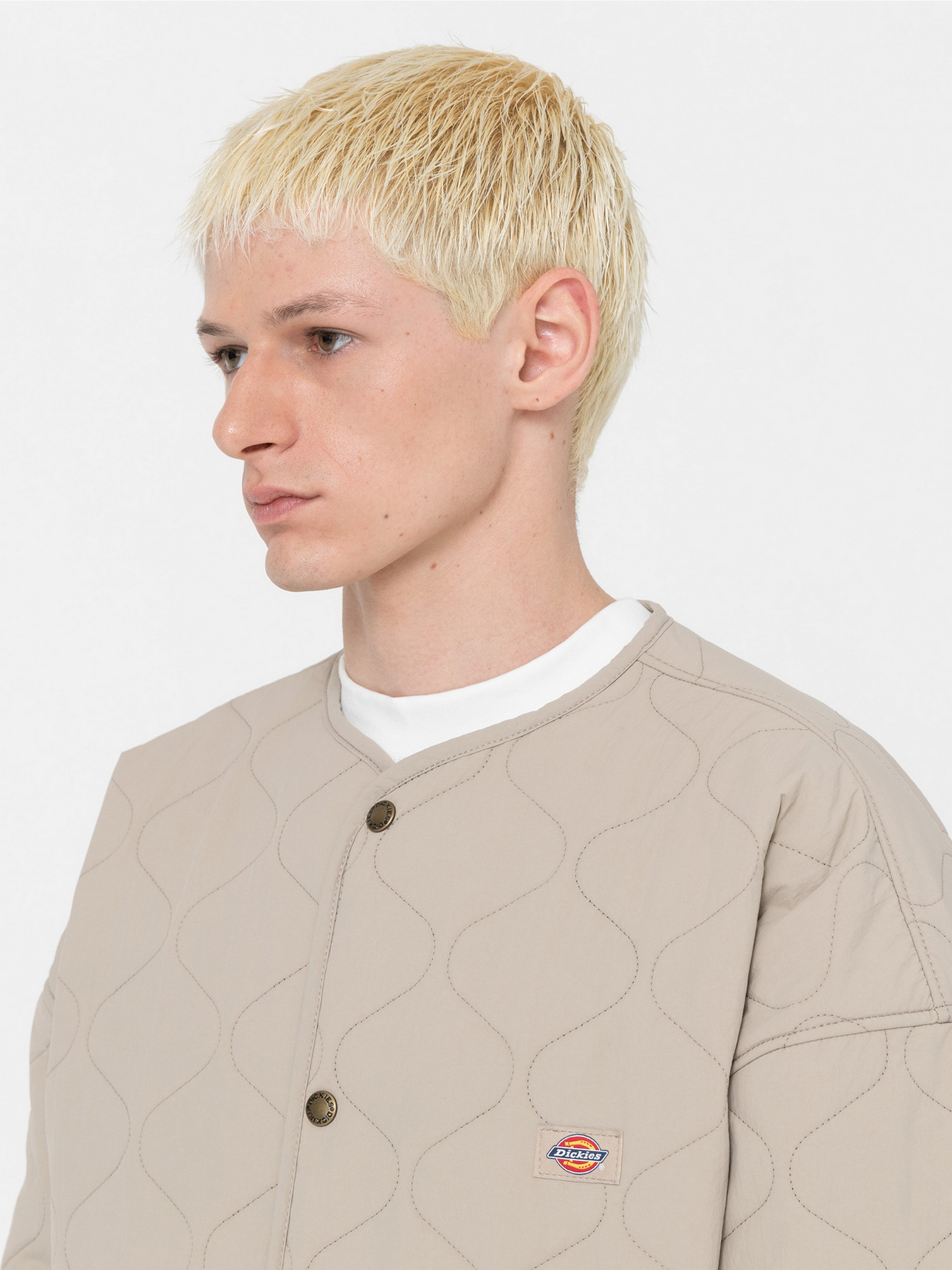 Демісезонна куртка Dickies Thorsby Liner модель DK0A4YG6SS01 Фото