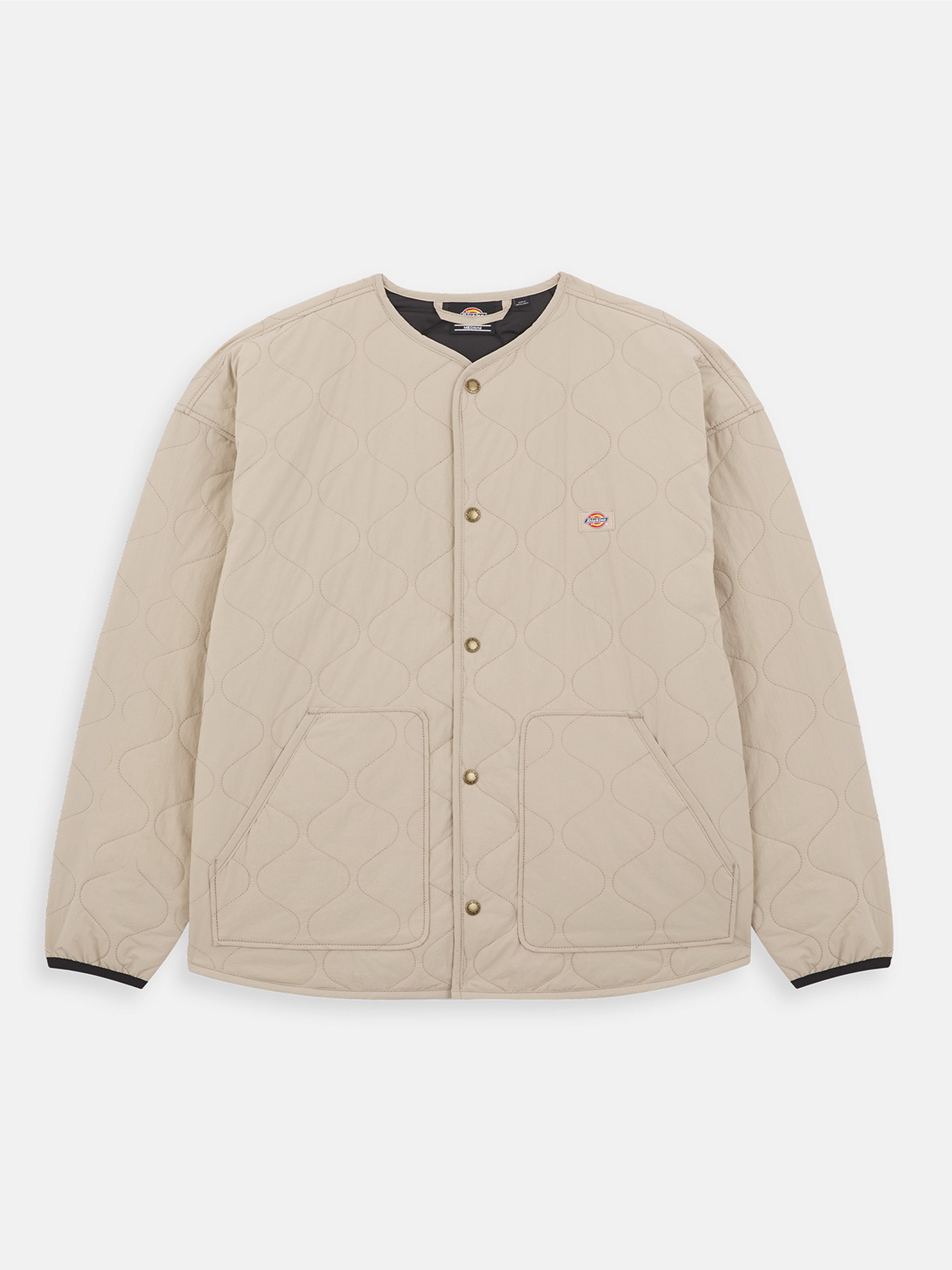 Демісезонна куртка Dickies Thorsby Liner модель DK0A4YG6SS01 Фото