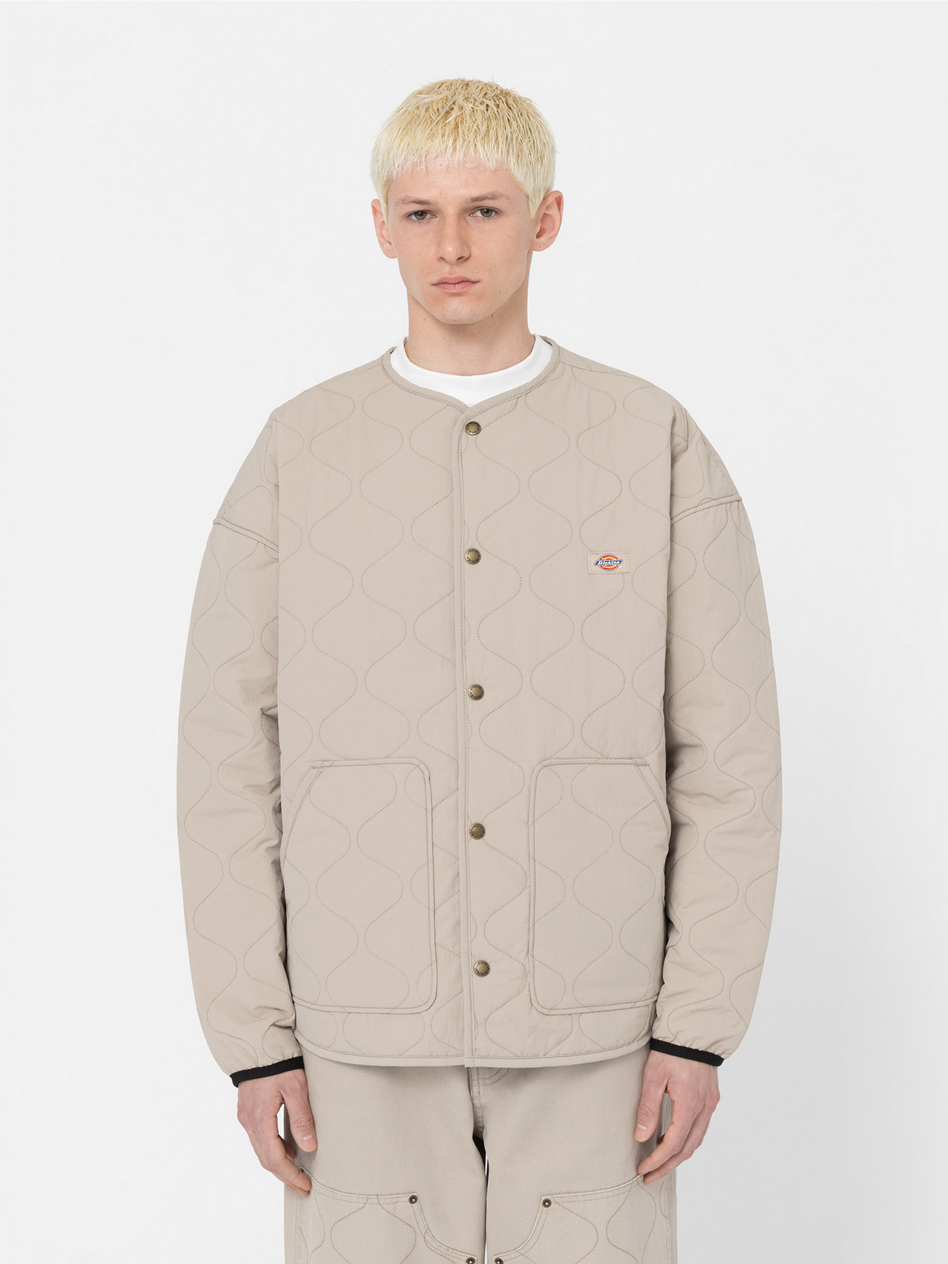 Демісезонна куртка Dickies Thorsby Liner модель DK0A4YG6SS01 Фото