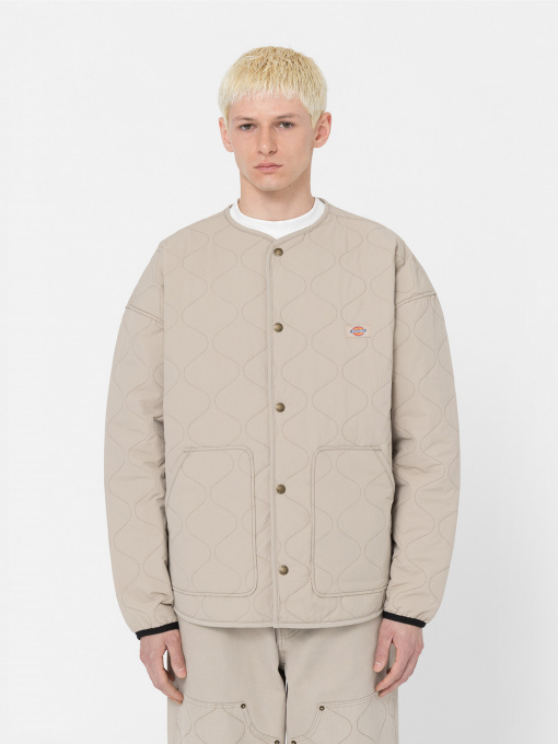 Демисезонная куртка Dickies Thorsby Liner модель DK0A4YG6SS01 Фото
