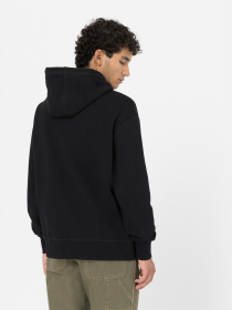 Худи Dickies Millersburg модель DK0A4YLYBLK1 Фото