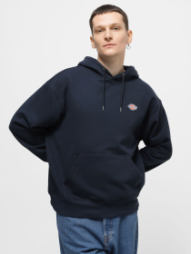 Худи Dickies Millersburg модель DK0A4YLYDNX1 Фото