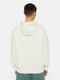 Худи Dickies Millersburg модель DK0A4YLYECR1 Фото