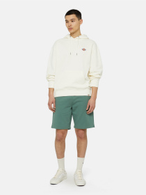 Худи Dickies Millersburg модель DK0A4YLYECR1 Фото