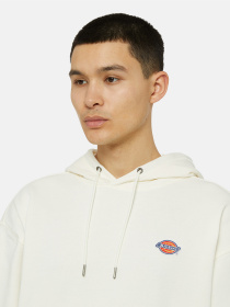 Худи Dickies Millersburg модель DK0A4YLYECR1 Худи Dickies Millersburg модель DK0A4YLYECR1 Фото