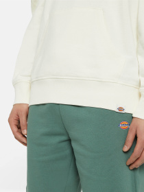 Худи Dickies Millersburg модель DK0A4YLYECR1 Худи Dickies Millersburg модель DK0A4YLYECR1 Фото