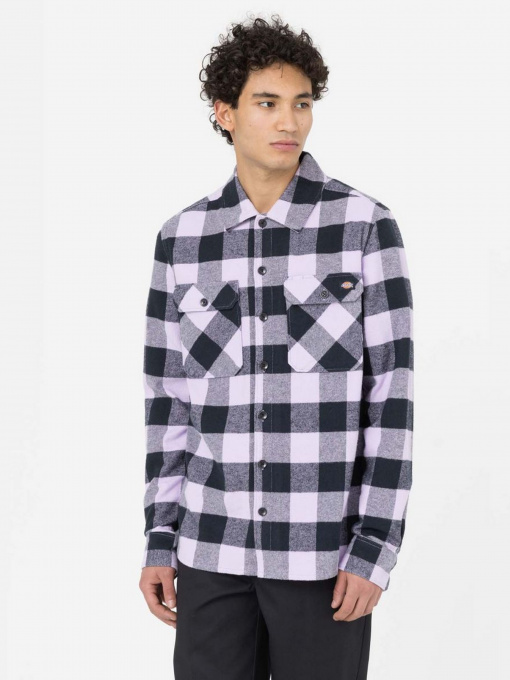 Сорочка Dickies New Sacramento Модель DK0A4XDZE611 Фото