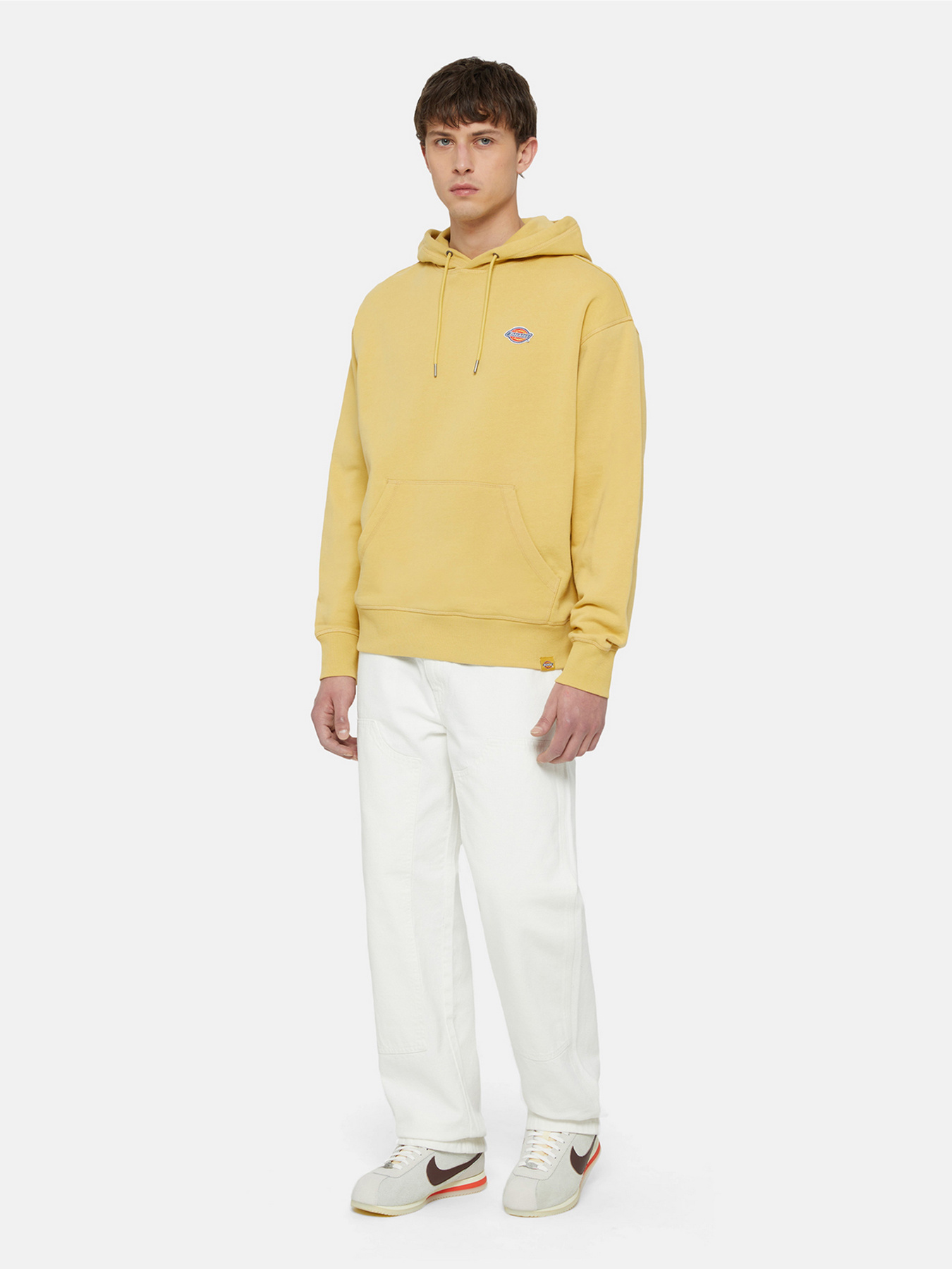 Худи Dickies Millersburg модель DK0A4YLYH131 Фото