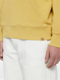 Худи Dickies Millersburg модель DK0A4YLYH131 Фото