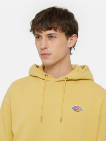 Худи Dickies Millersburg модель DK0A4YLYH131 Фото