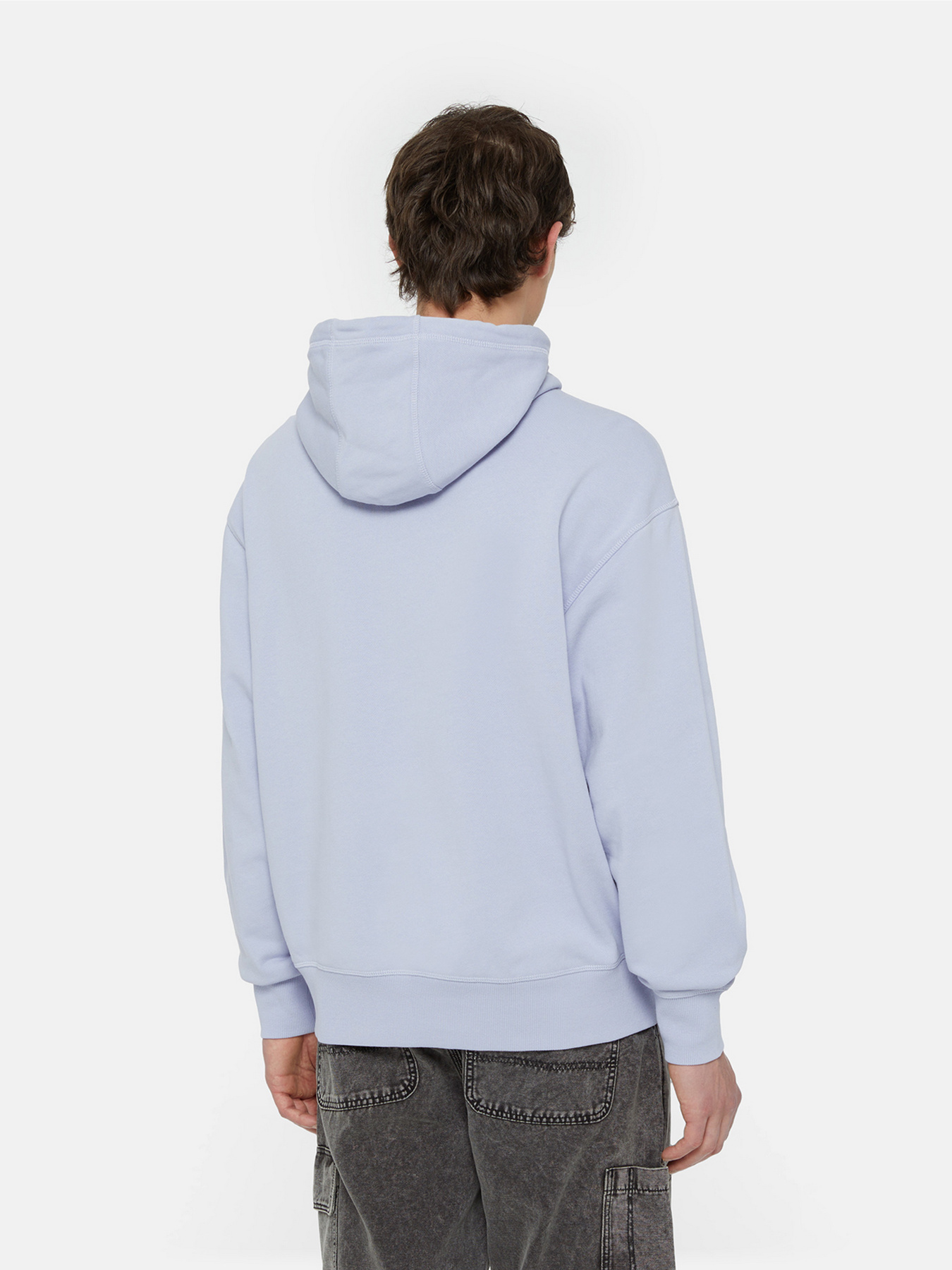 Худи Dickies Millersburg модель DK0A4YLYH181 Фото