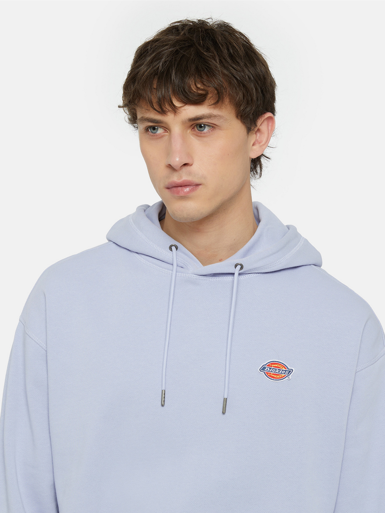 Худи Dickies Millersburg модель DK0A4YLYH181 Фото