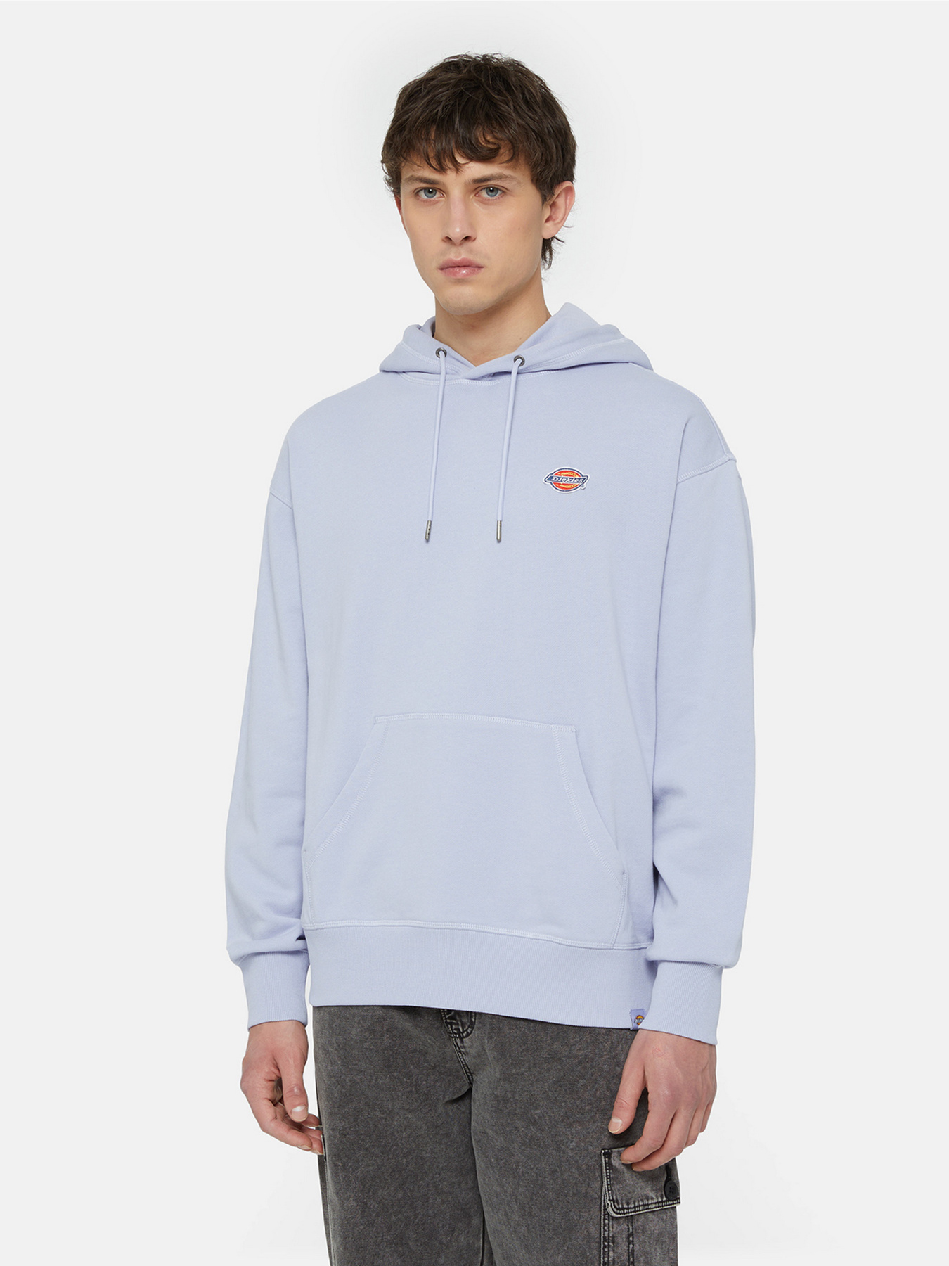 Худи Dickies Millersburg модель DK0A4YLYH181 Фото