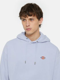 Худи Dickies Millersburg модель DK0A4YLYH181 Фото