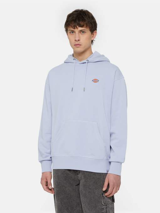 Худи Dickies Millersburg модель DK0A4YLYH181 Фото