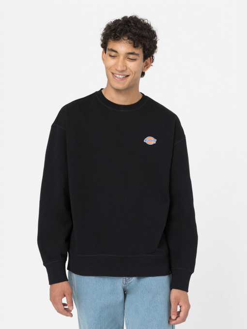 Свитшот Dickies Millersburg модель DK0A4YLZBLK1 Фото
