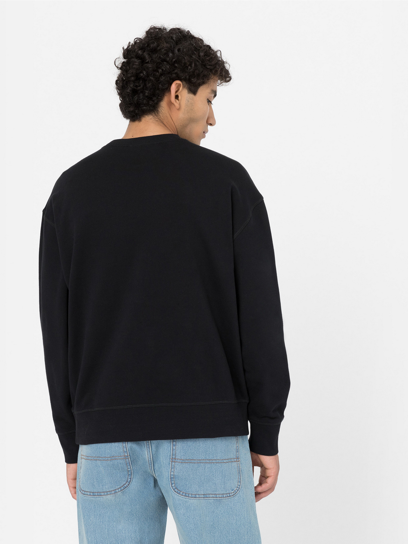 Свитшот Dickies Millersburg модель DK0A4YLZBLK1 Свитшот Dickies Millersburg модель DK0A4YLZBLK1 Фото