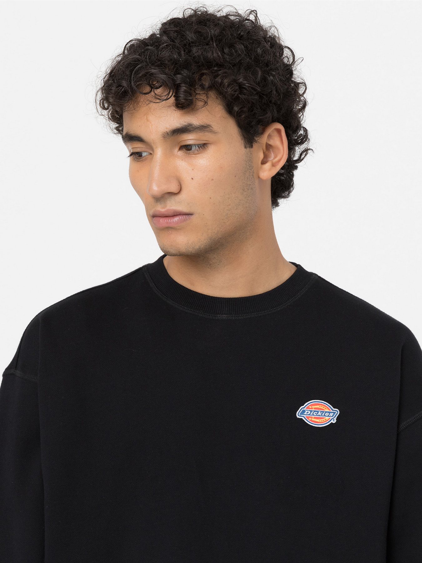 Свитшот Dickies Millersburg модель DK0A4YLZBLK1 Свитшот Dickies Millersburg модель DK0A4YLZBLK1 Фото