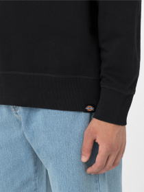 Свитшот Dickies Millersburg модель DK0A4YLZBLK1 Свитшот Dickies Millersburg модель DK0A4YLZBLK1 Фото