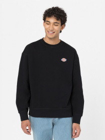 Свитшот Dickies Millersburg модель DK0A4YLZBLK1 Свитшот Dickies Millersburg модель DK0A4YLZBLK1 Фото