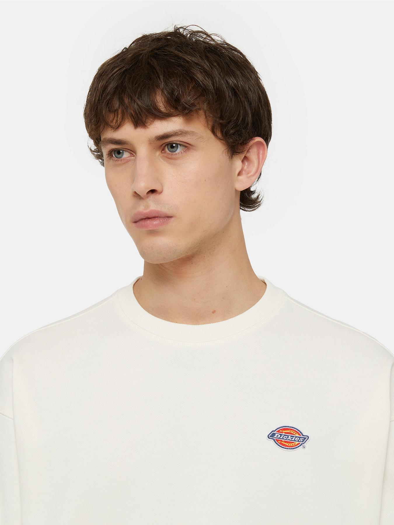 Світшот Dickies Millersburg модель DK0A4YLZECR1 Фото