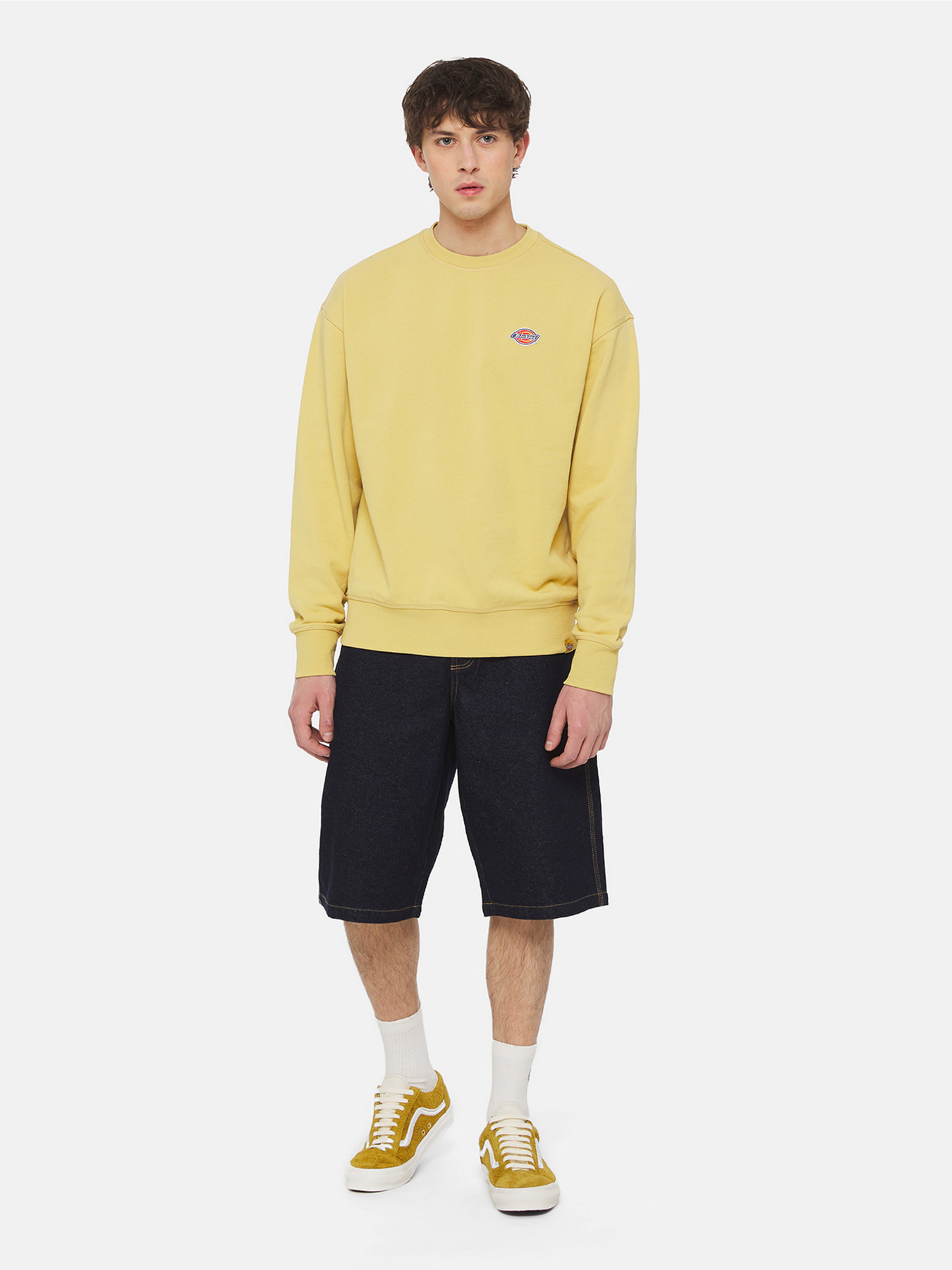 Свитшот Dickies Millersburg модель DK0A4YLZH131 Фото