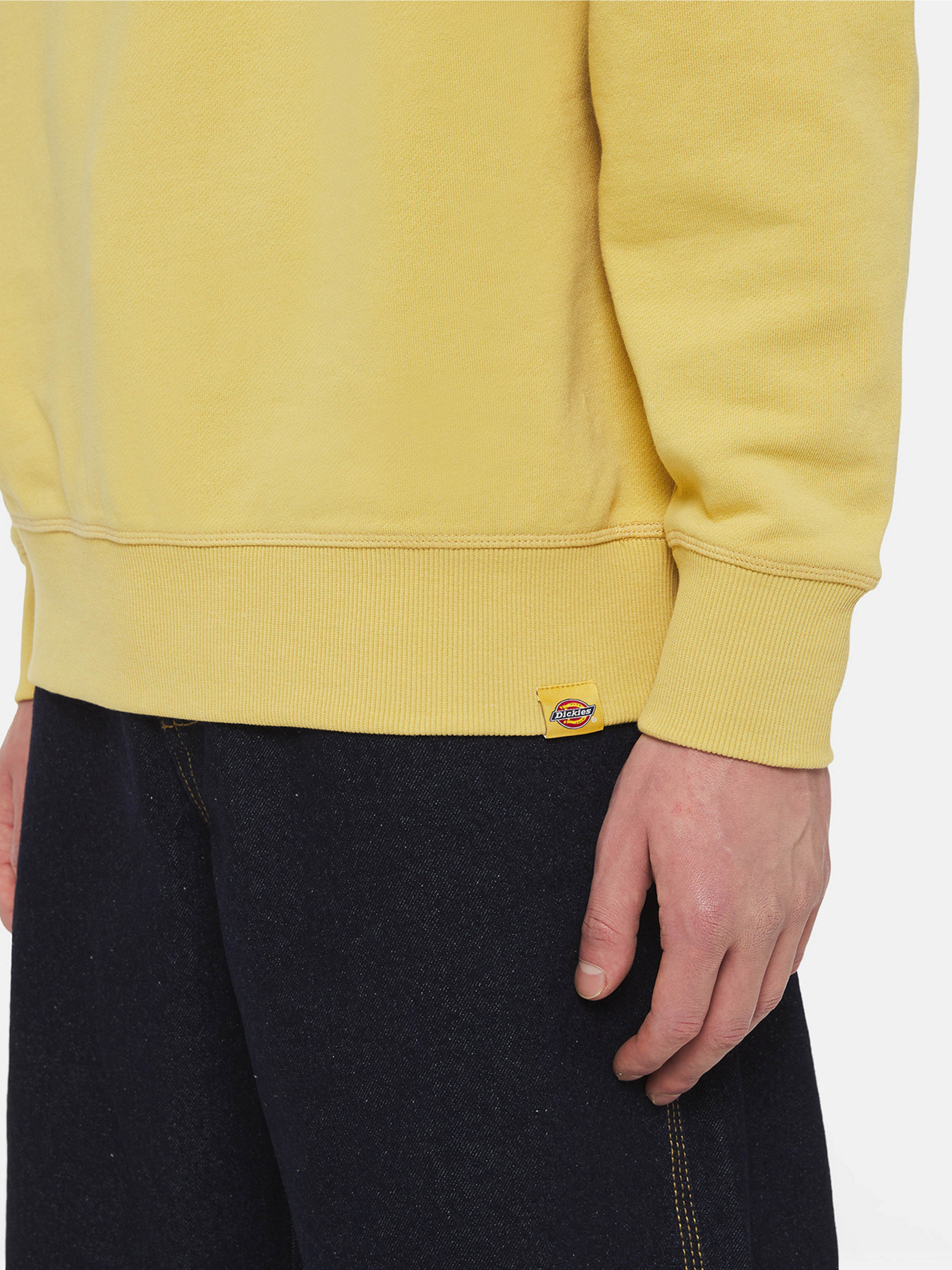 Свитшот Dickies Millersburg модель DK0A4YLZH131 Фото