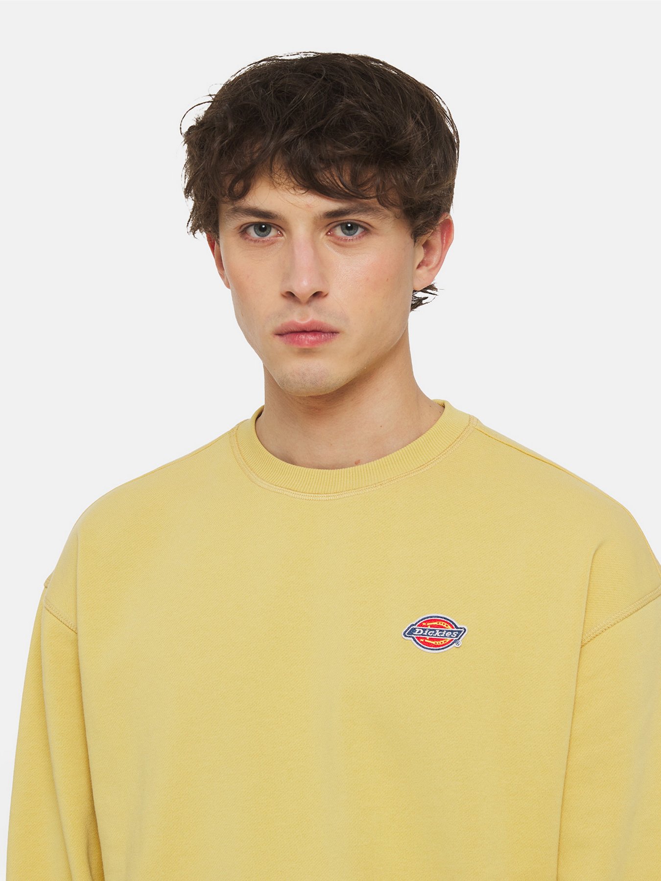 Свитшот Dickies Millersburg модель DK0A4YLZH131 Свитшот Dickies Millersburg модель DK0A4YLZH131 Фото