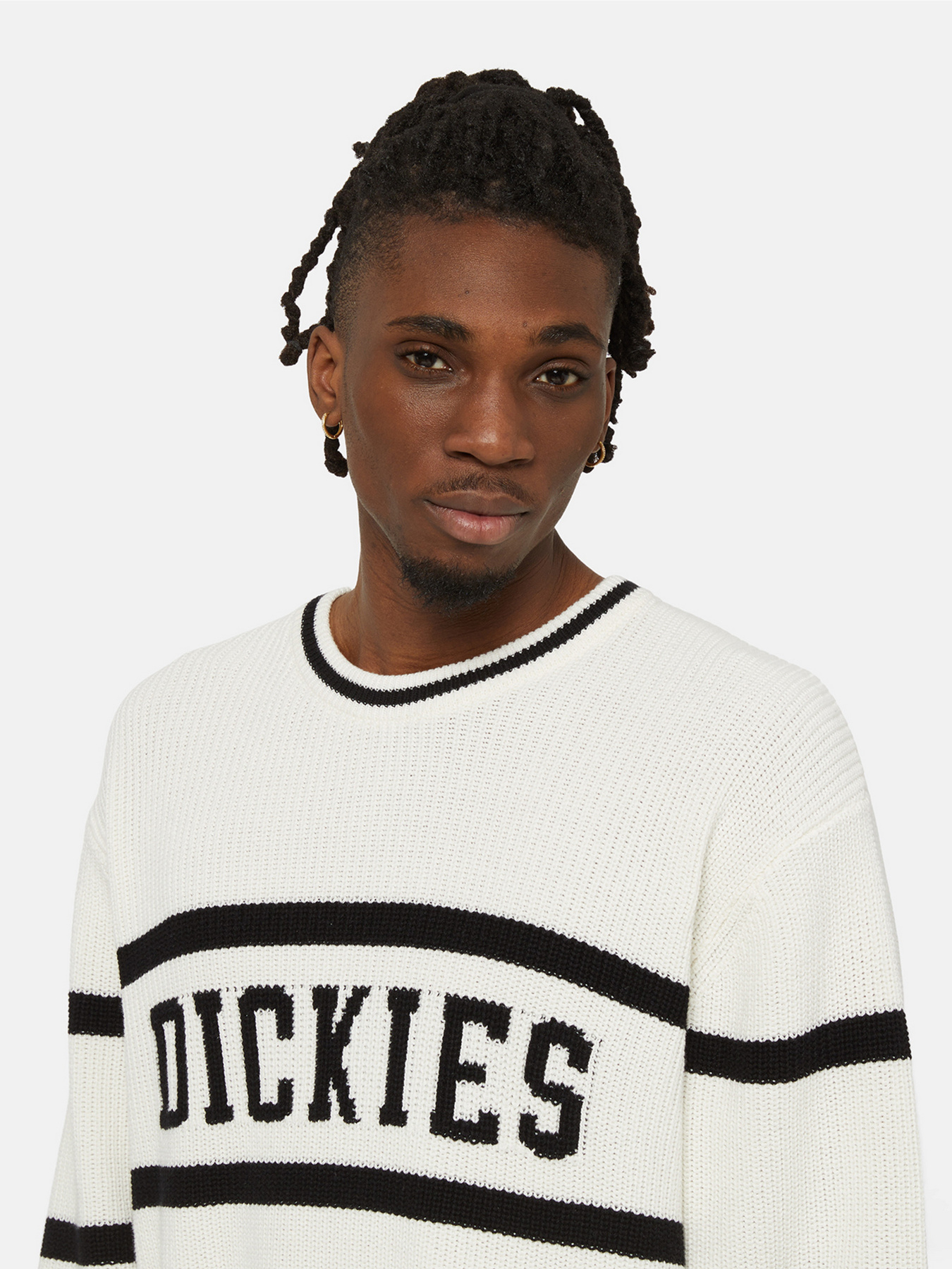 Джемпер Dickies Melvern Seater модель DK0A4YMCC581 Фото