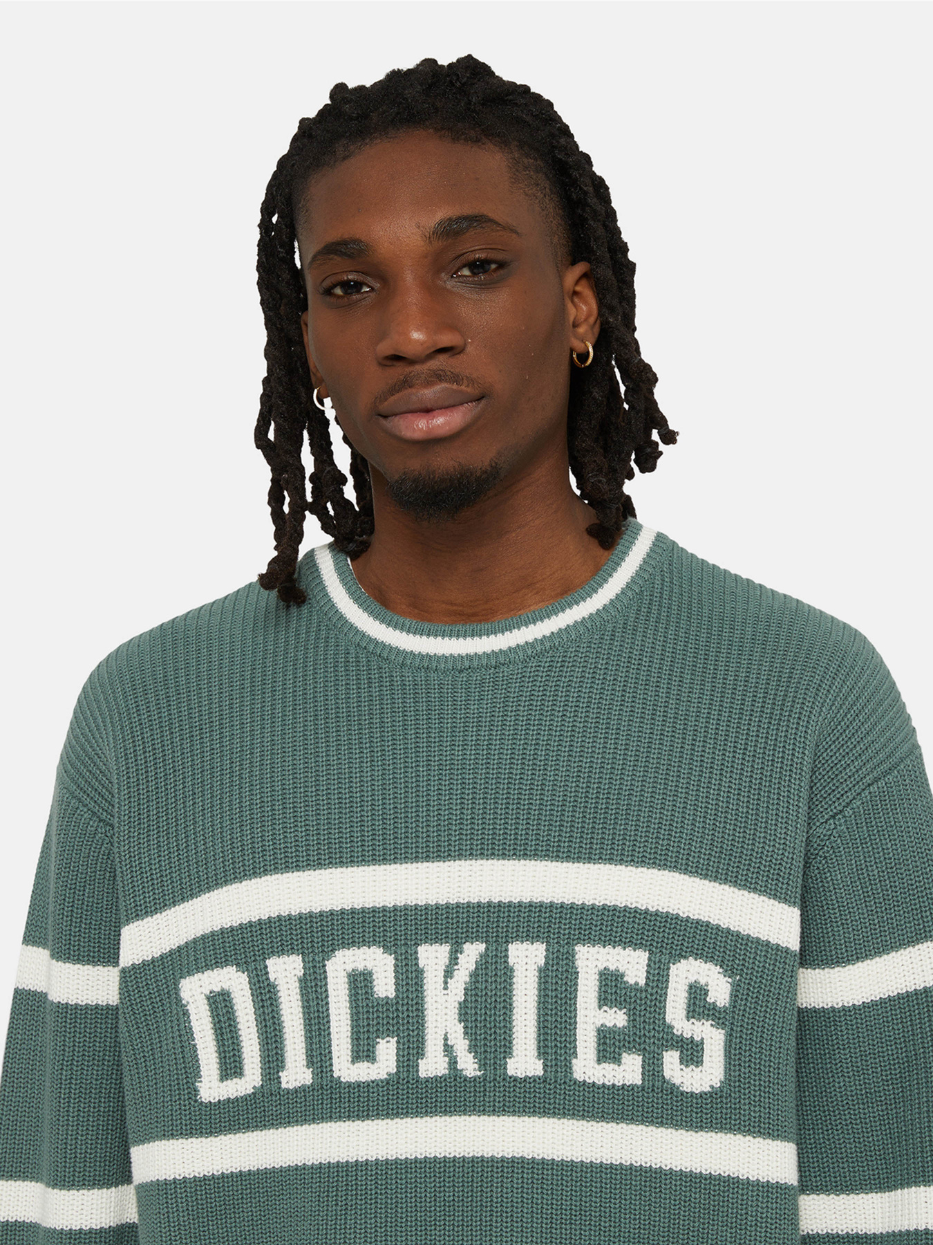 Джемпер Dickies Melvern Seater модель DK0A4YMCH151 Фото