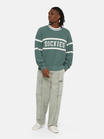 Джемпер Dickies Melvern Seater модель DK0A4YMCH151 Фото