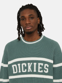 Джемпер Dickies Melvern Seater модель DK0A4YMCH151 Фото