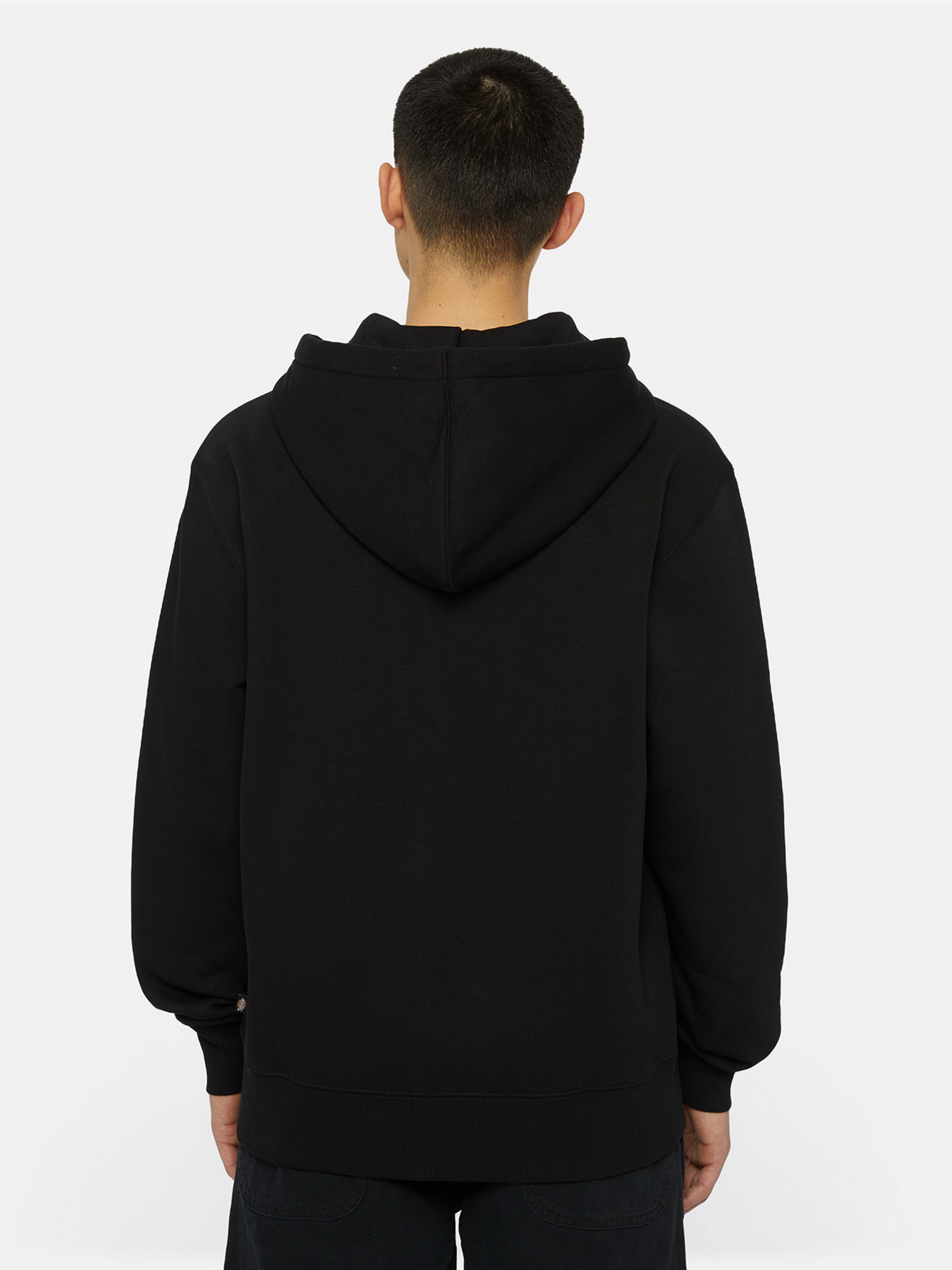 Кофта Dickies Summerdale Zip Through модель DK0A4YQABLK1 Фото